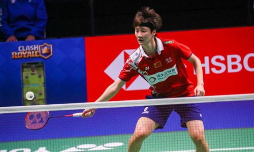 球和乒乓球 球和乒乓球