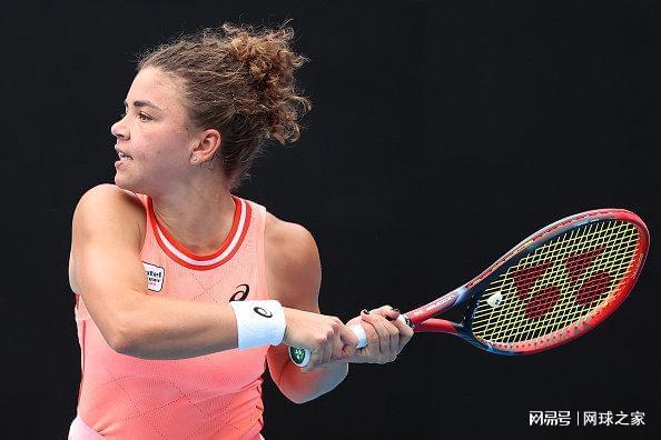 三号种子面 三号种子面