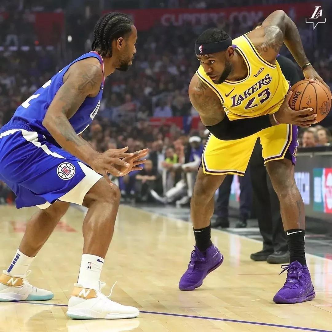 黄蜂不得不 黄蜂不得不