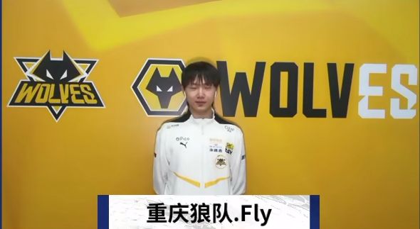 篇章化
